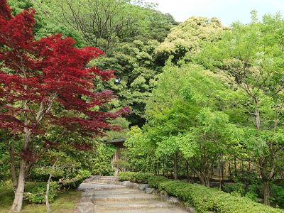 １１月定休日のお知らせ。